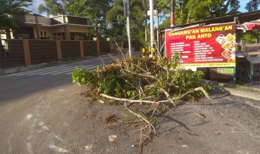 Traffic Light Simpang 4 Samari ,dikeluhkan oleh warga net