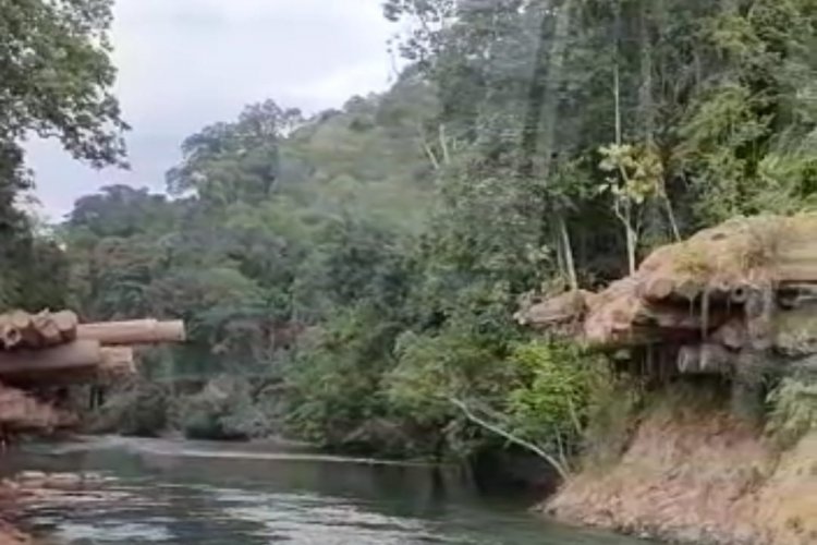 PEDULI PEMBANGUNAN, TOKOH PEMUDA DESA PETARIKAN BERKOMITMEN SUMBANGKAN KAYU UNTUK BANGUN JEMBATAN