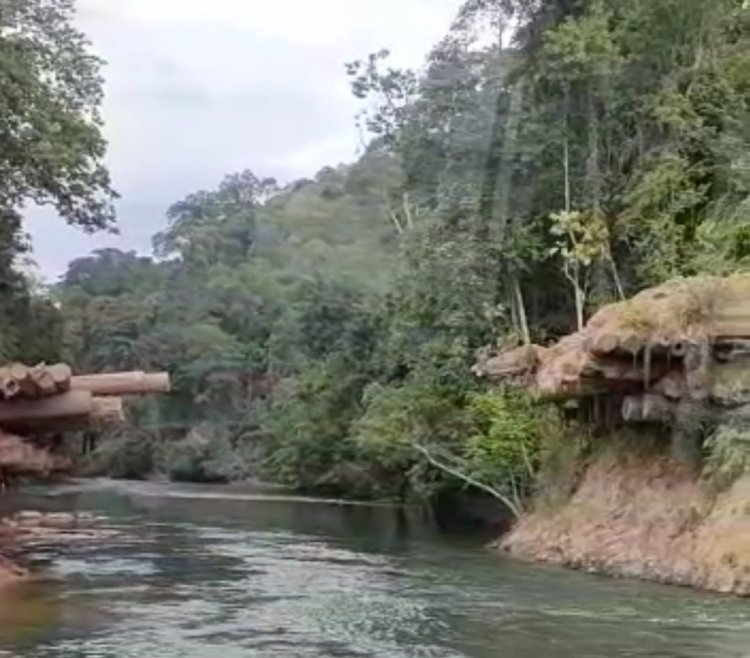 PEDULI PEMBANGUNAN, TOKOH PEMUDA DESA PETARIKAN BERKOMITMEN SUMBANGKAN KAYU UNTUK BANGUN JEMBATAN