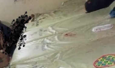 Rebutan Tempat Tidur, Nyawa Malayang